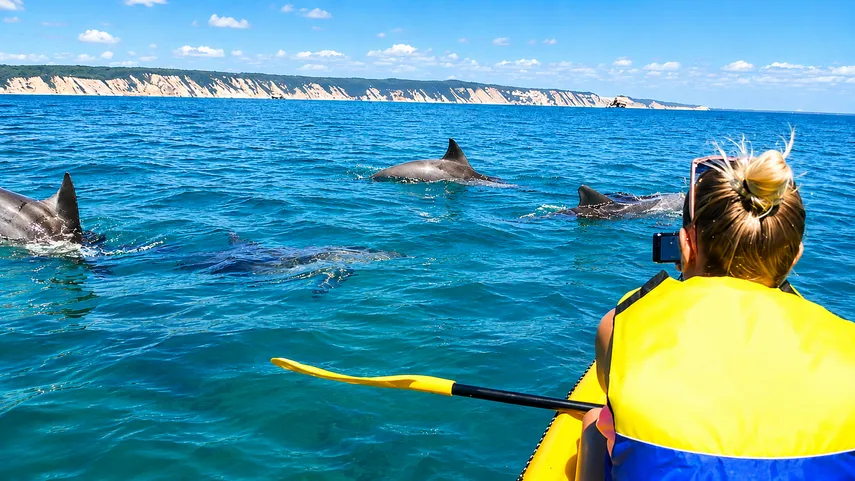 Whale Watching On Ocean Kayaks & Beach 4X4 Tour - Noosa | Experience Oz