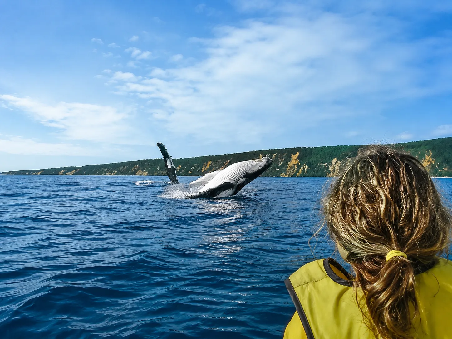 Whale Watching On Ocean Kayaks & Beach 4X4 Tour - Noosa | Experience Oz-6