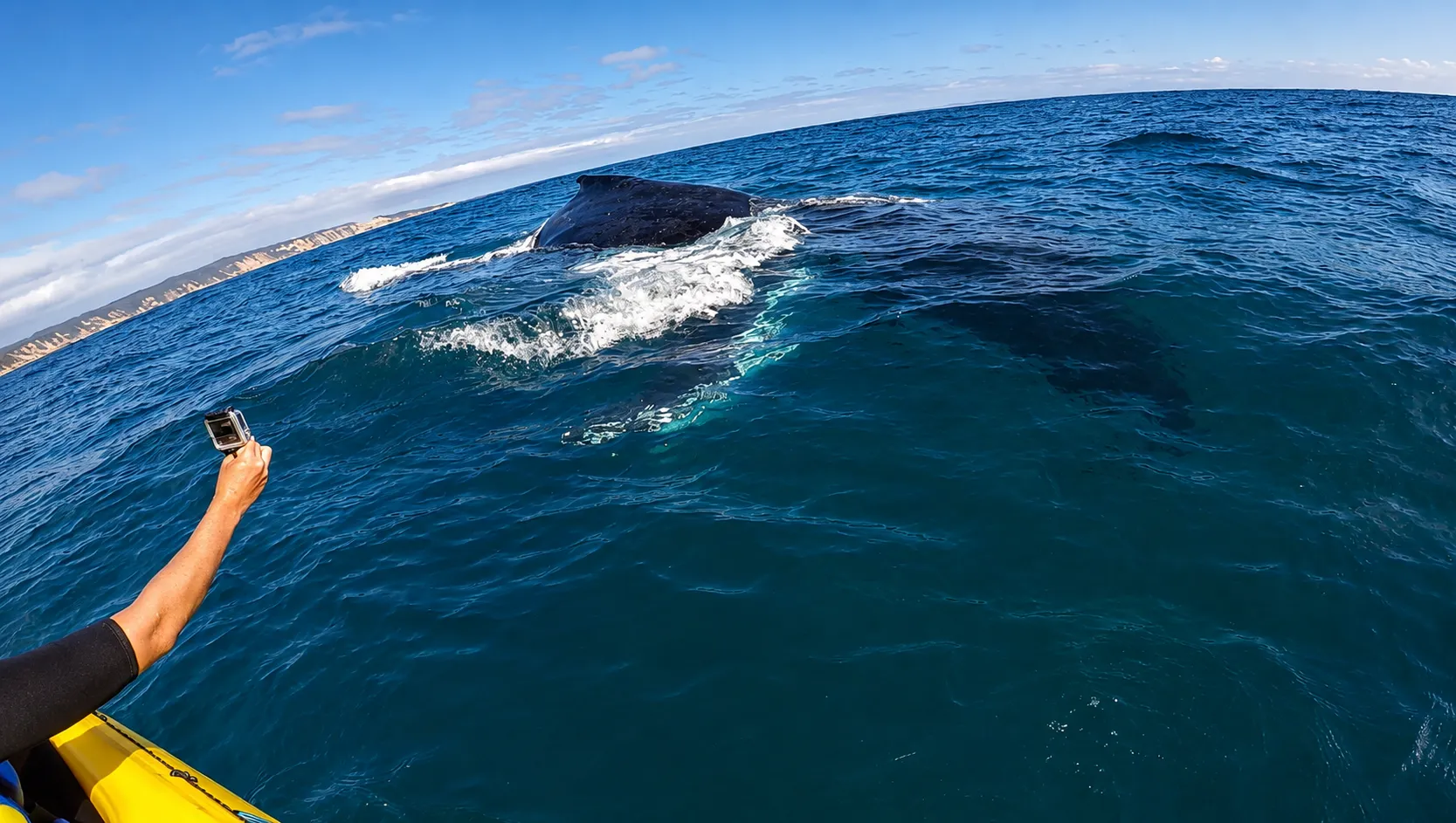 Whale Watching On Ocean Kayaks & Beach 4X4 Tour - Noosa | Experience Oz-7