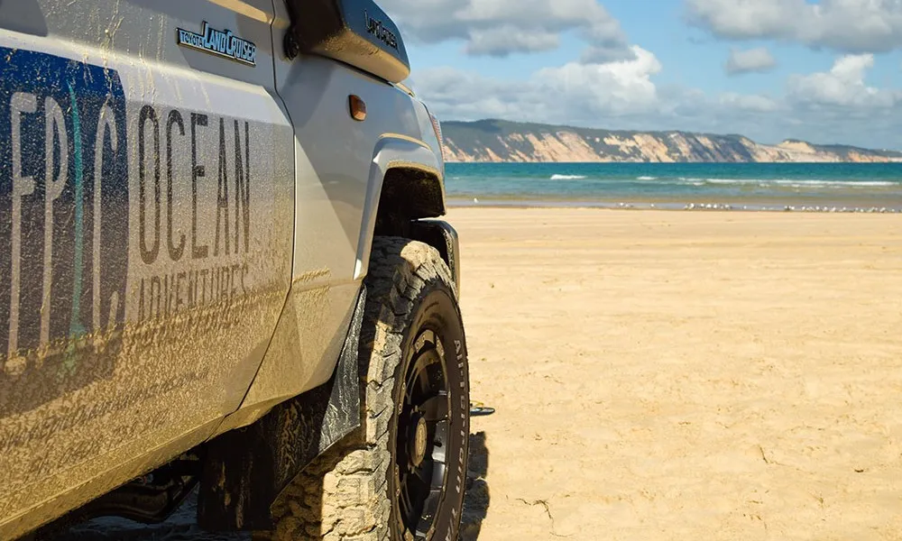 Private Eco Tour - Double Island Point Wildlife Adventure | Experience Oz-6