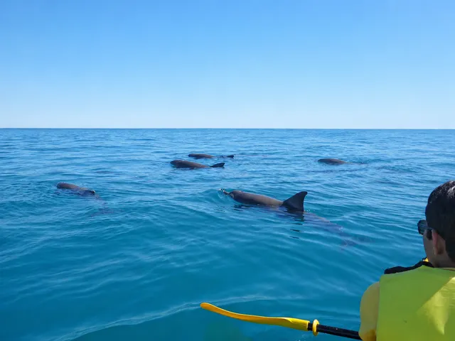 Private Eco Tour - Double Island Point Wildlife Adventure | Experience Oz