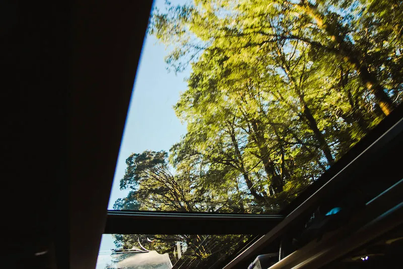 Milford Sound Premium Cruise and Gourmet Menu | Experience Oz-6