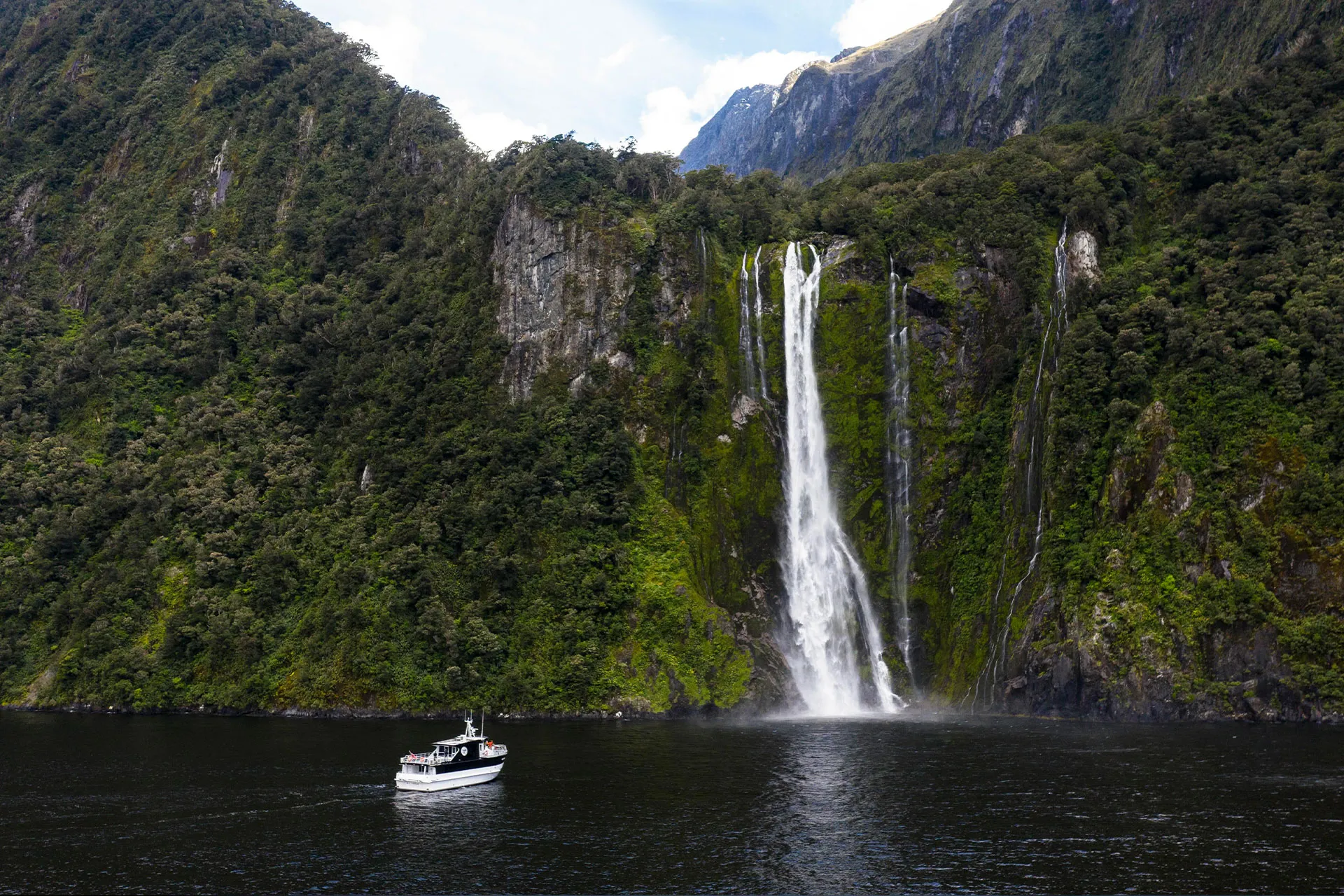 Milford Sound Premium Cruise and Gourmet Menu | Experience Oz-7