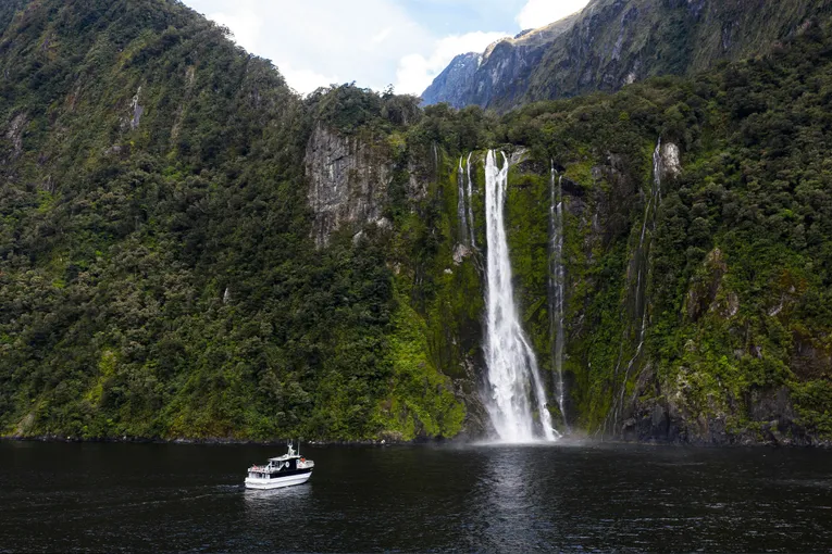 Milford Sound Business Class Cruise and Gourmet Menu with Transfers | Experience Oz