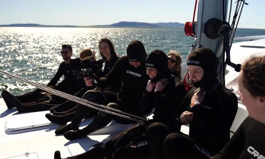 Dolphin Swim and Cruise, 5 Hours - Coffin Bay