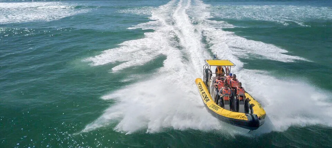 Noosa Thrill Rides Sunshine Coast - Book Now | Experience Oz-6