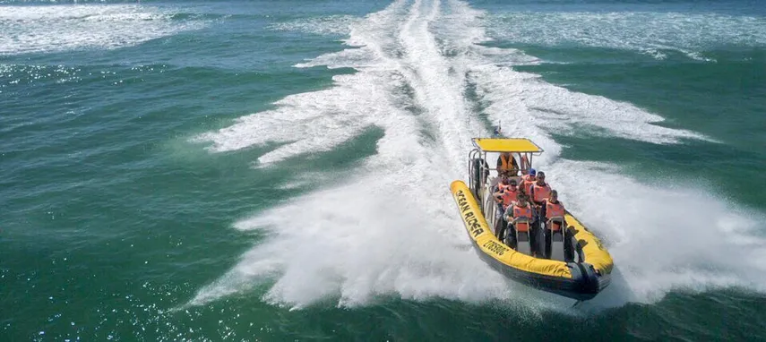 Noosa Thrill Rides Sunshine Coast - Book Now | Experience Oz