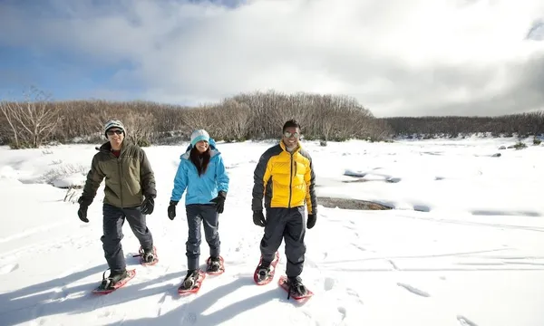Full Day Lake Mountain Snow Adventure & Steavenson Falls