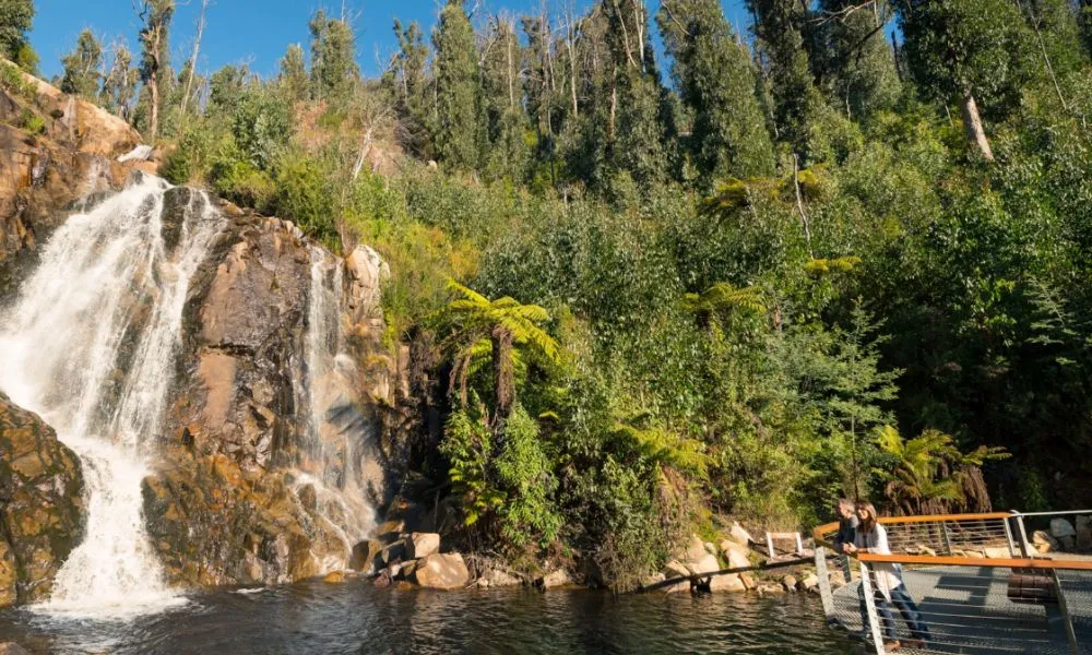 Lake Mountain Snow Adventure & Steavenson Falls | Experience Oz-5