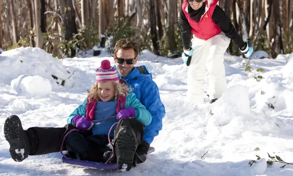 Full Day Lake Mountain Snow Adventure & Steavenson Falls