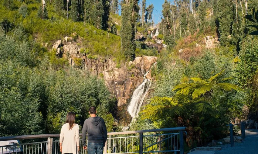 Lake Mountain Snow Adventure & Steavenson Falls | Experience Oz