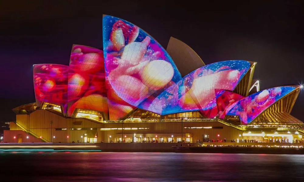 Vivid Sydney Dinner Cruise with Cocktail Style Buffet - 2 Hours | Experience Oz-8