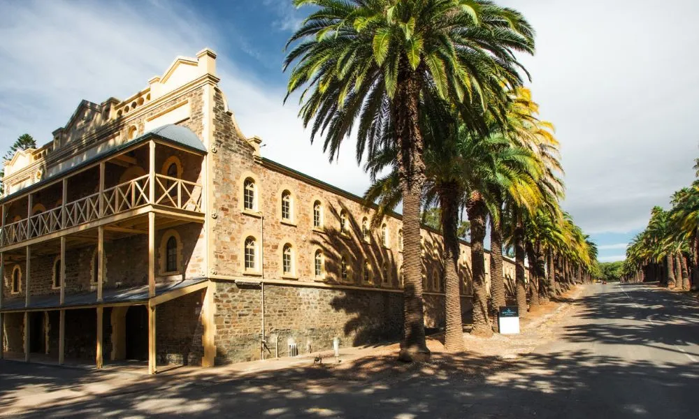 Seppeltsfield Wine Tour & Tasting - 30 Minutes | Experience Oz-3