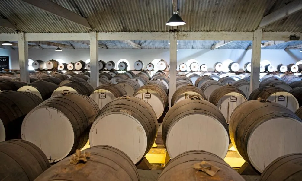 Seppeltsfield Wine Tour & Tasting - 30 Minutes | Experience Oz-5