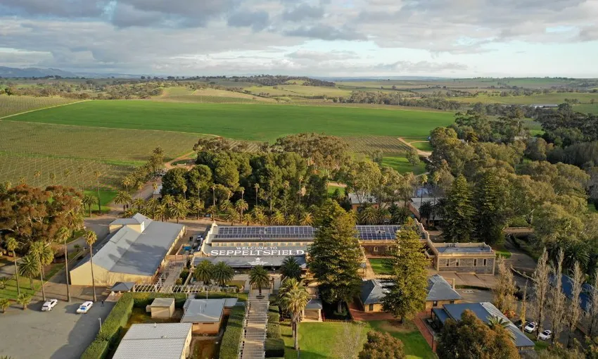 Seppeltsfield Estate & Wine Experience - 1 Hour | Experience Oz