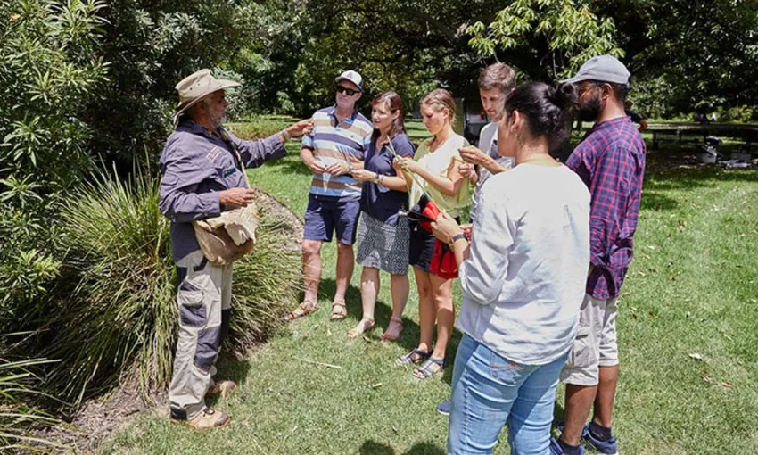 Botanical Gardens Aboriginal Tour - 90 Minutes | Experience Oz
