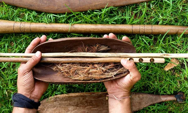Botanical Gardens Aboriginal Heritage Tour - 90 Minutes