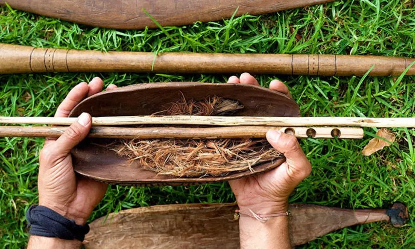 Botanical Gardens Aboriginal Tour - 90 Minutes | Experience Oz