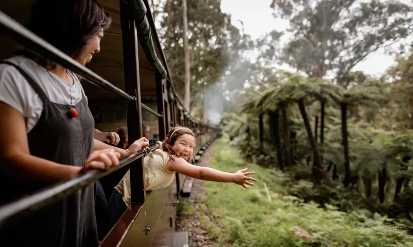 Puffing Billy Steam Train Half Day Tour from Melbourne | Experience OZ