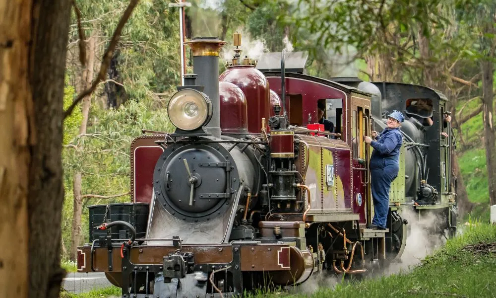 Puffing Billy Steam Train Half Day Tour from Melbourne | Experience OZ-7