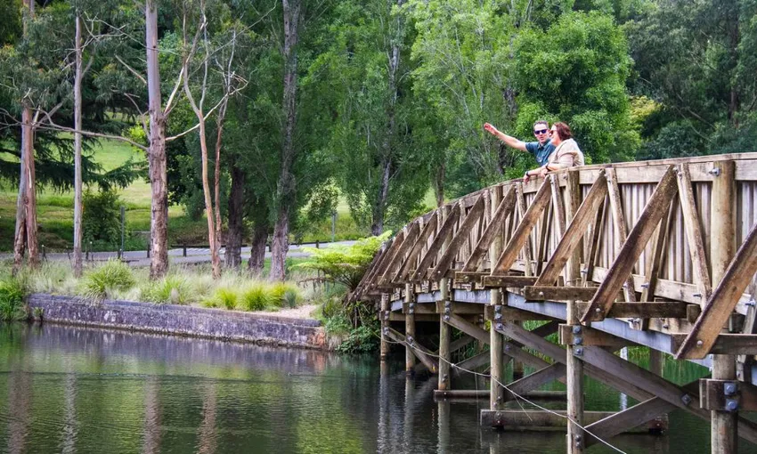 Puffing Billy Steam Train Half Day Tour from Melbourne | Experience OZ
