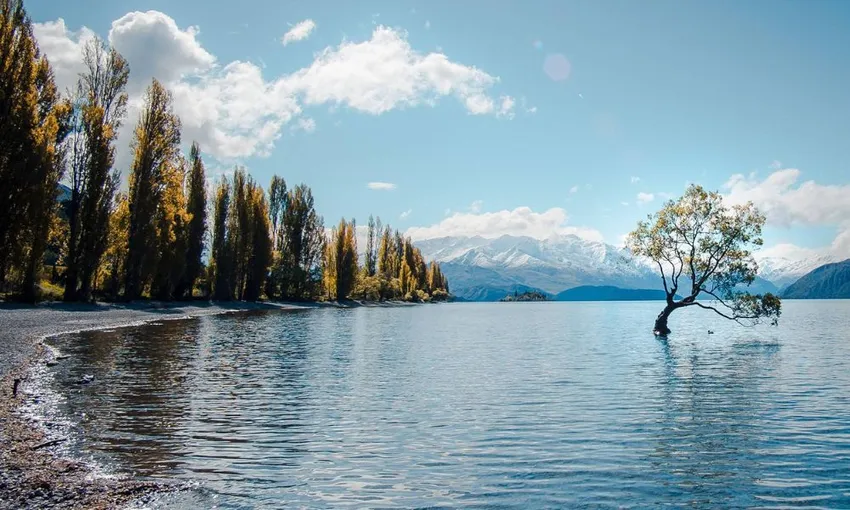 Fox Glacier to Queenstown Day Tour New Zealand | Experience Oz