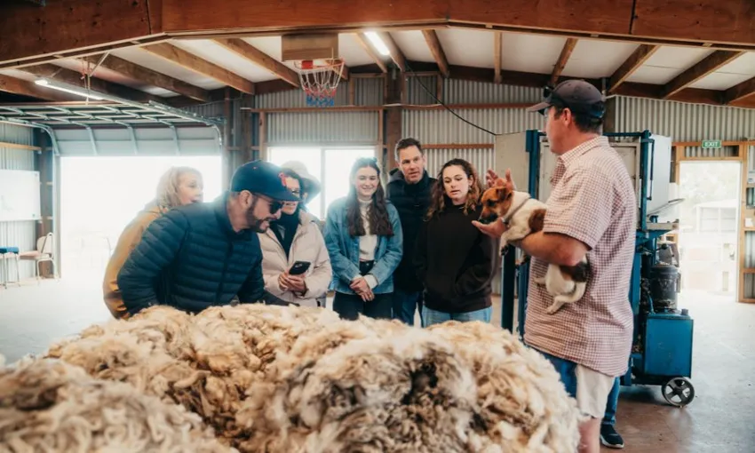 Christchurch Sheep Farm and Winery Tour | Experience Oz