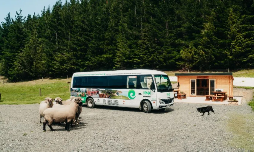 Christchurch Sheep Farm and Winery Tour | Experience Oz