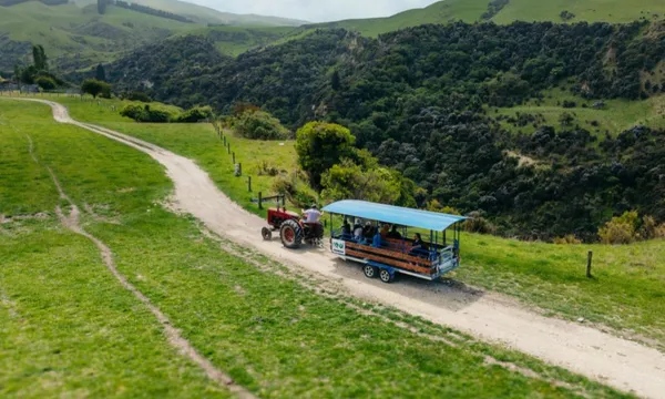 Christchurch Sheep Farm and Winery Tour - Full Day