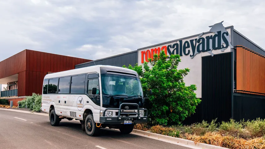 Roma Highlights Guided Tour - 3 Hours - Book Now | Experience Oz