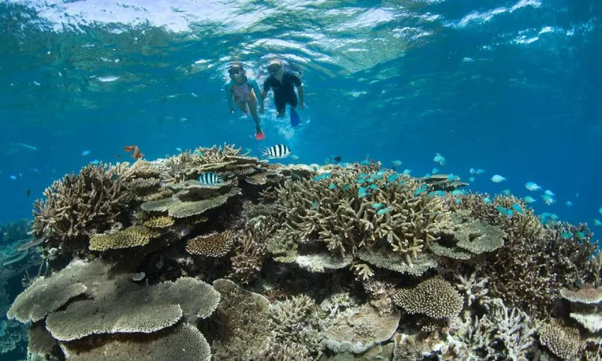 Great Barrier Reef Day Tour from Hervey Bay - Book Now | Experience Oz