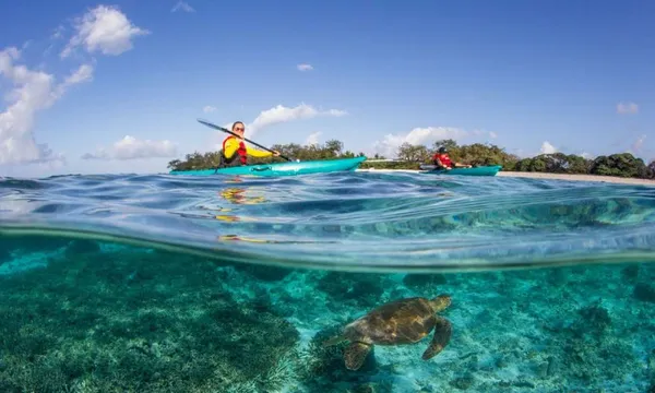 Lady Elliot Island Day Trip from Hervey Bay including Flights