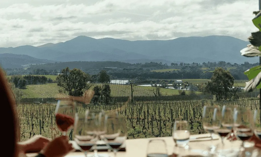 Melbourne to Yarra Valley Hop On Hop Off Bus | Experience Oz-4