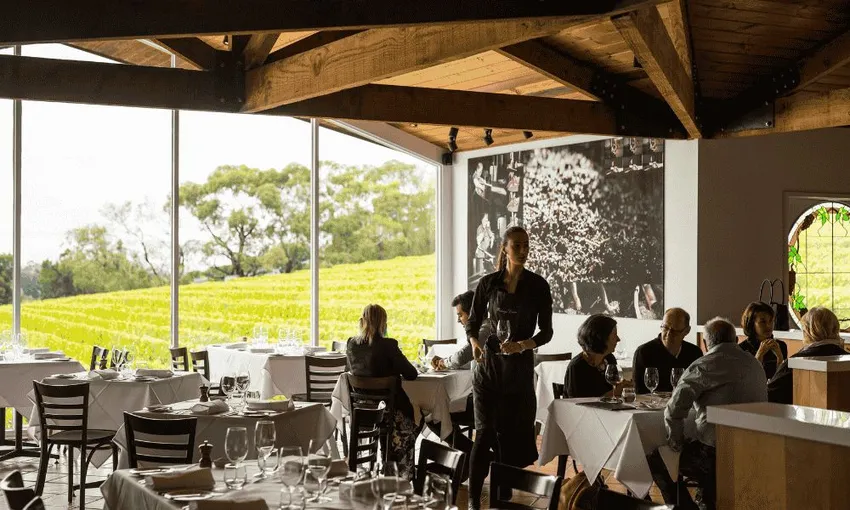 Melbourne to Mornington Peninsula Hop On Hop Off | Experience Oz