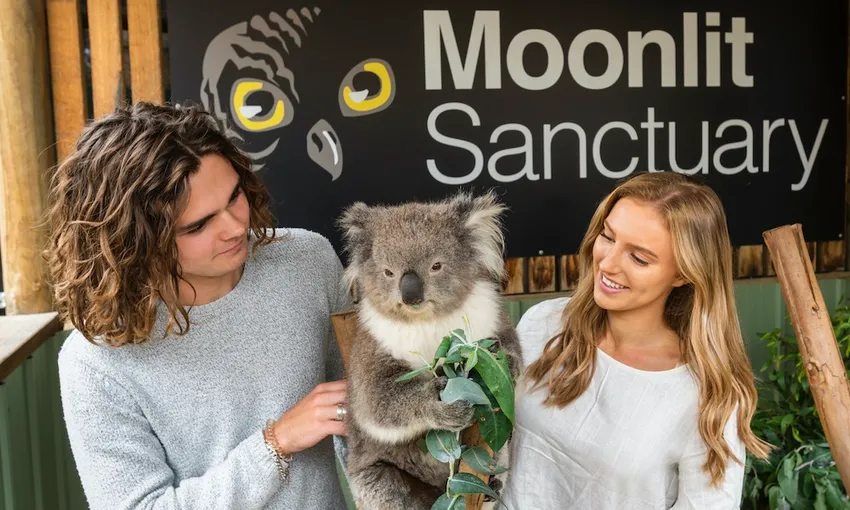 Melbourne Moonlit Sanctuary General Admission