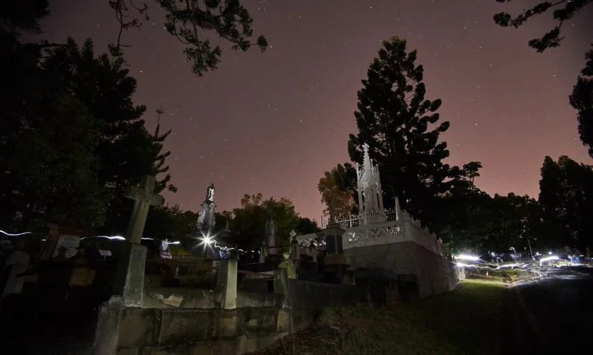 Toowong Cemetery Ghost Tour: The Original, 2 hours