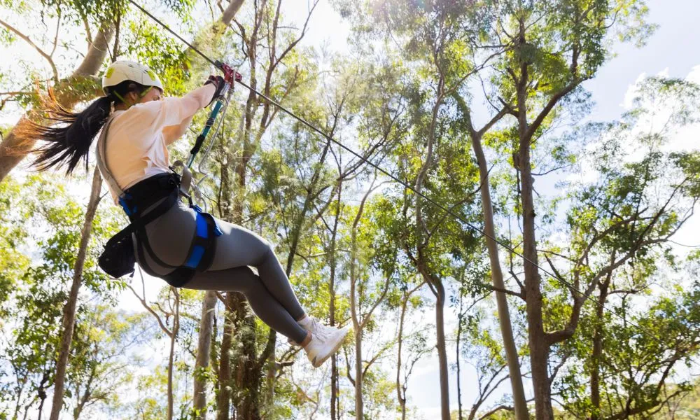 Gold Coast Hinterland Zip Line - Book Now | Experience Oz-1