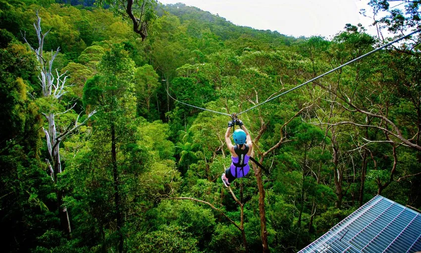 Gold Coast Hinterland Zip Line - Book Now | Experience Oz