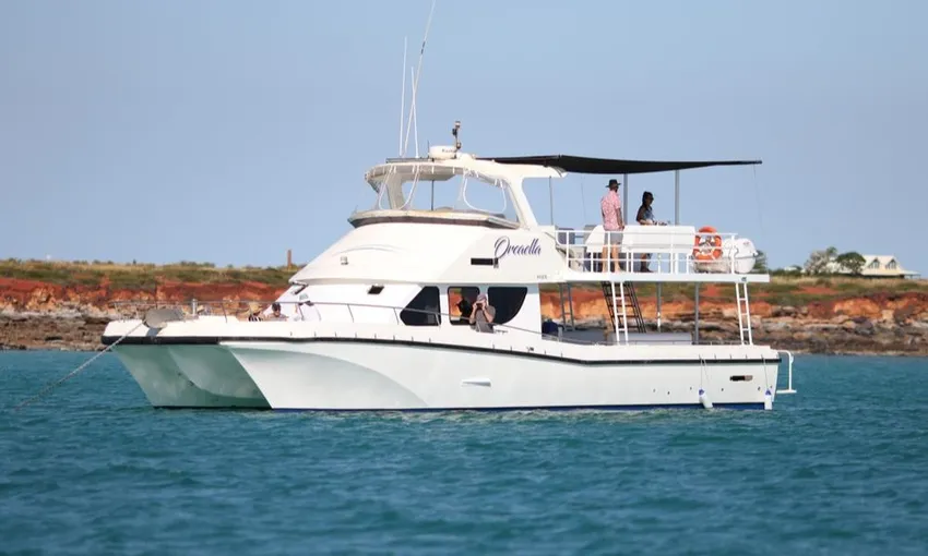 Snubfin Dolphin Eco Cruise - Roebuck Bay - Half Day