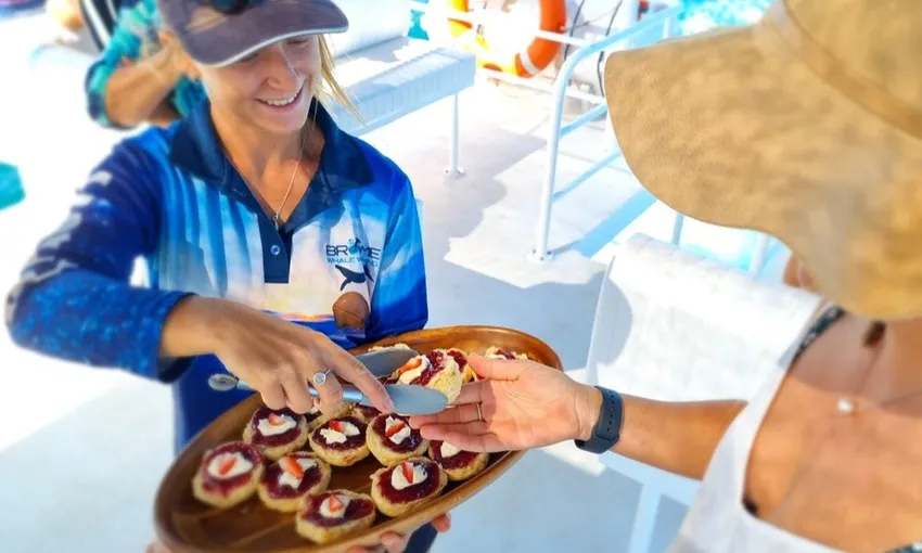 Snubfin Dolphin Eco Cruise - Roebuck Bay - Half Day