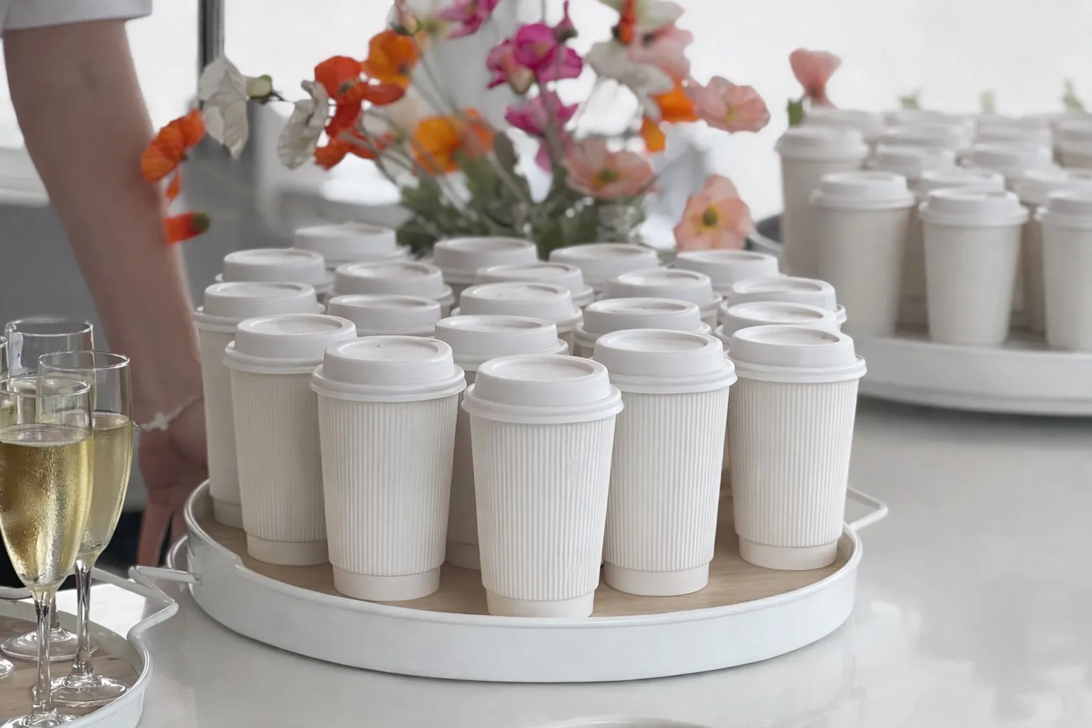 Gold Coast Whale Watching Cruise - 2.5 Hours | Experience OZ-14