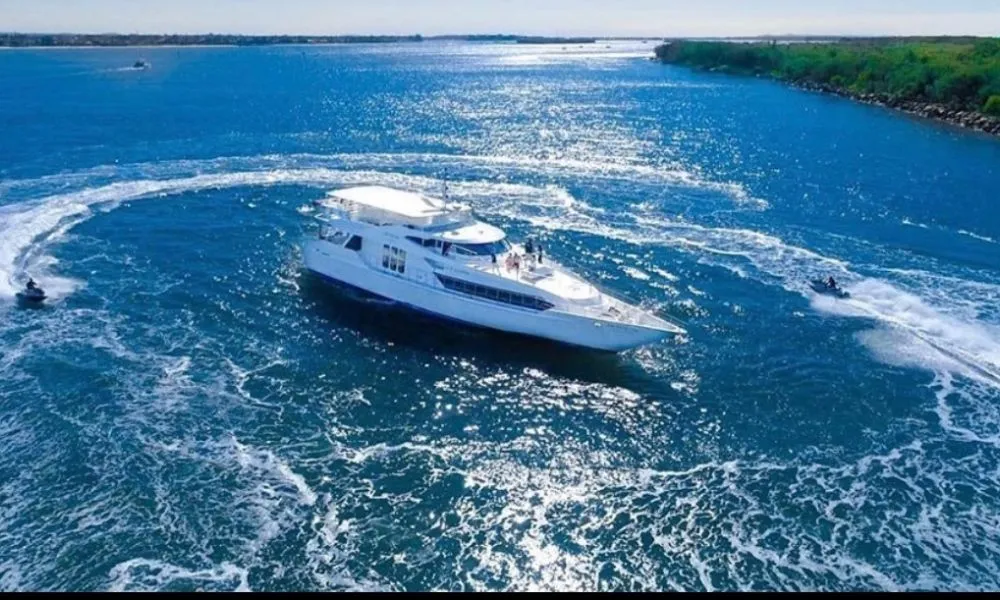 Gold Coast Whale Watching Cruise - 2.5 Hours | Experience OZ-11