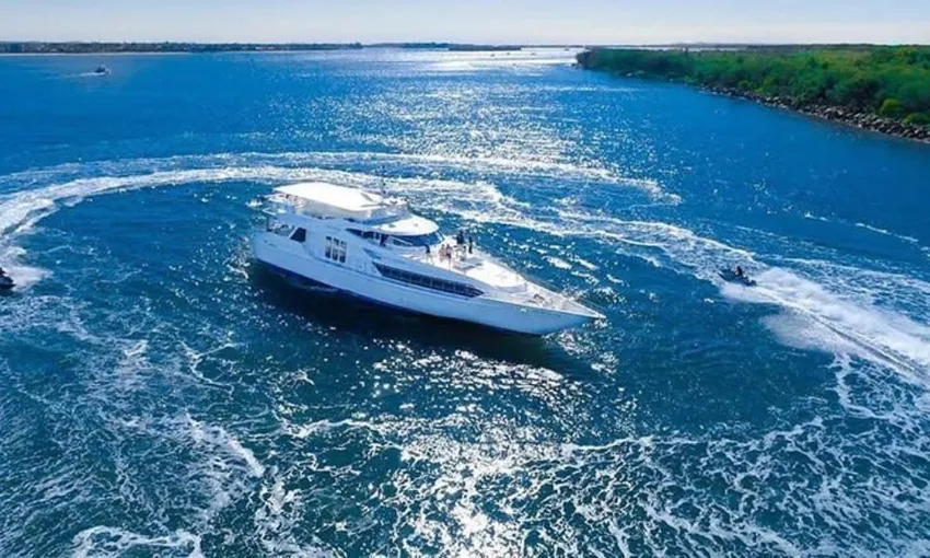 Gold Coast Luxury Whale Watching Yacht Cruise - 2.5 Hours