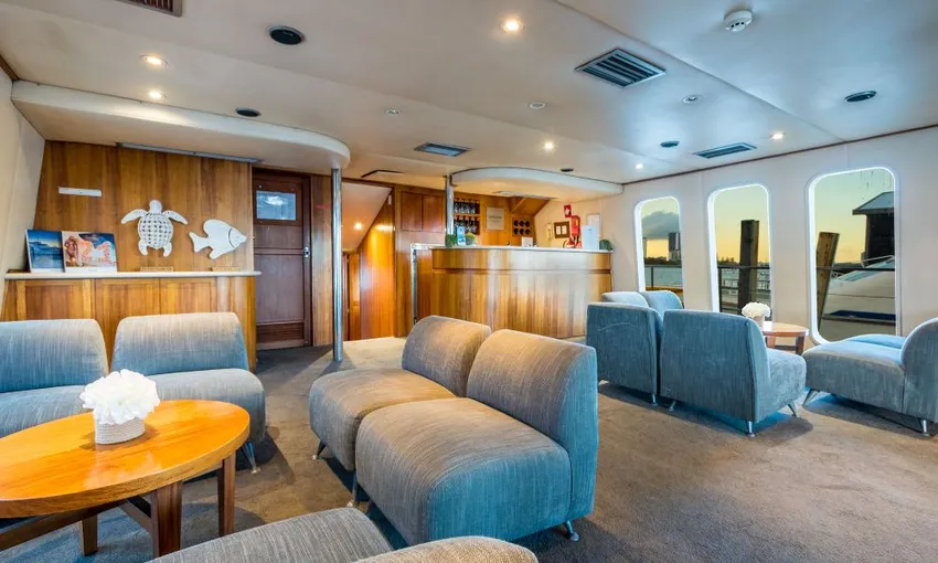 Gold Coast Luxury Whale Watching Yacht Cruise - 2.5 Hours