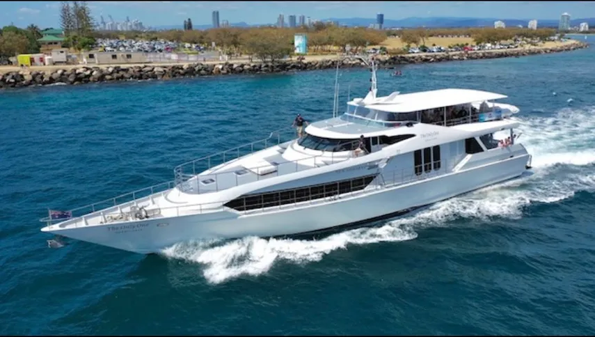 Gold Coast Luxury Whale Watching Yacht Cruise - 2.5 Hours