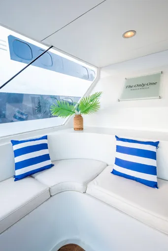 Gold Coast Luxury Whale Watching Yacht Cruise - 2.5 Hours