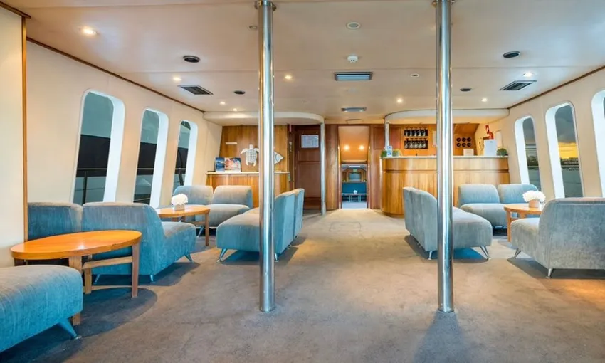 Gold Coast Luxury Whale Watching Yacht Cruise - 2.5 Hours