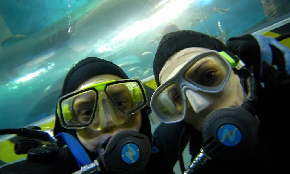 SEA LIFE Melbourne Shark Diving Experience | Experience OZ-4