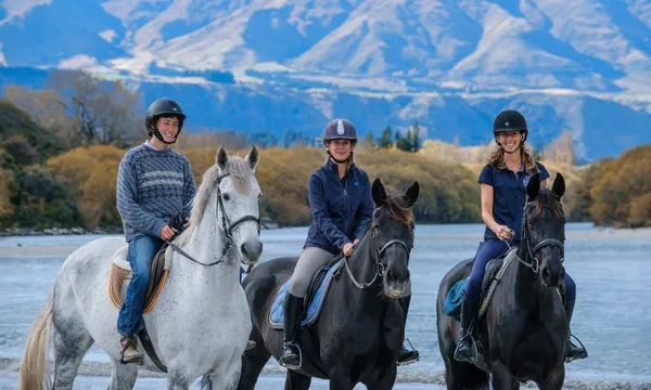 Horse Riding Lesson in Queenstown - 30 Minutes 