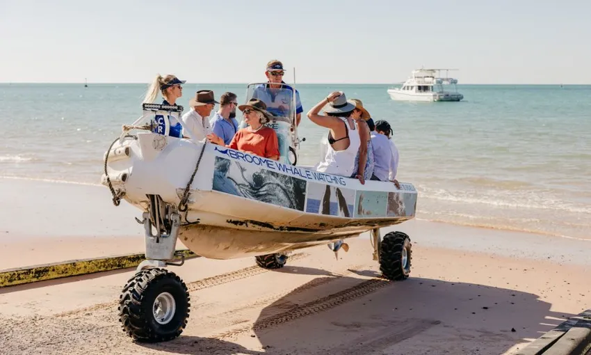 Roebuck Bay Snubfin Dolphin Cruise - Half Day | Experience Oz